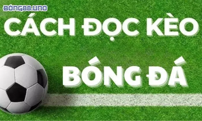 Các loại kèo chẵn lẻ hiện nay