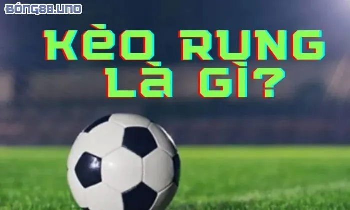 Phương pháp nhận biết kèo rung